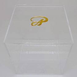 Caixa Seringas da semana - Logo alto relevo inicial ou desenho