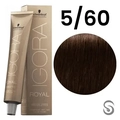 Schwarzkopf Igora Absolutes Coloração 5/60 Castanho Claro Chocolate Natural 60ml