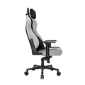 Cadeira Gamer DT3 Royce Ashen Reclinável Apoio de braço 4D - 13340-1