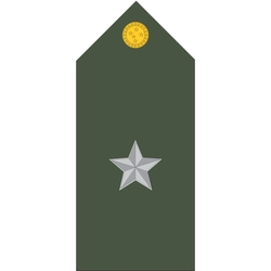 Platinas do Exército Brasileiro (Par)