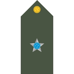 Platinas do Exército Brasileiro (Par)