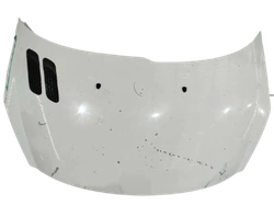 Capô Peugeot 207 2008/2014 (ID:2241)