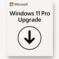 Microsoft Windows 11 Pro Upgrade Perpétuo Csp - Dg7gmgf0d8h4-004