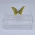 Caixa P tampa removível Borboleta