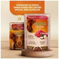 Special Dog Sachê Carne para Cães Filhotes