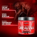 Creatina Hardcore 100% Pura 300g IntegralMédica MAIS VENDIDO 2º em Suplementos Alimentares