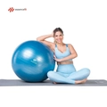Bola De Pilates Funcional Essencefit 65cm Anti-estouro Fitness Pilates