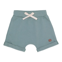 Shorts Avulso Barra Virada Verde Suedine Masculino - Cachorrinho no Parque