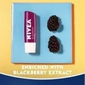 Pacote Variado De Protetor Labial Nivea Lip Care Fruit