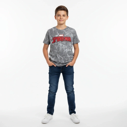 Camiseta Manga Curta Spider Man Masculina - Cinza
