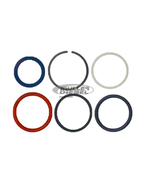 KIT REPARO EXTERNO DAS UNIDADES INJETORAS CATERPILLAR 3126 HEUI 11-23-630 OMS
