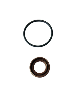 REPARO COMMON RAIL CP3 LINHA 010 (ANEL+RET20M