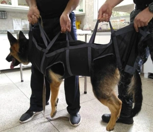 Maca de extricação K9