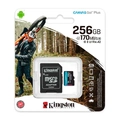 Cartão De Memória Kingston Canvas Go Plus 256gb - Sdcg3/256gb