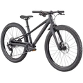 Bicicleta Specialized Riprock 24