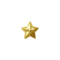 Estrela de Ombro Dourada (EsPCEx)