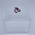 Caixa Cubo - Logo alto relevo inicial ou desenho
