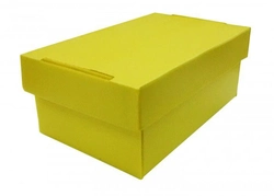 CAIXA ORGANIZADORA POLIONDA PP AMARELA