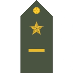 Platinas do Exército Brasileiro (Par)