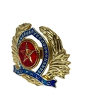Distintivo de boina em Alto relevo PMESP- OFICIAL