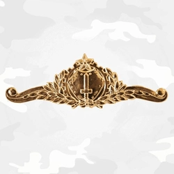 Brevê (Distintivo) de Metal Curso EsIE