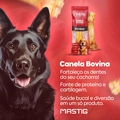Osso Canela Bovina Mastig para Cães 1un