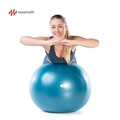 Bola Pilates Suiça Yoga 65cm Ginástica Abdominal e Muscular Essencefit