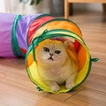 Brinquedo Túnel Reto para Gato Dobrável - Colorido