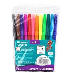Canetinha Hidrocor 12 Cores