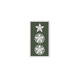 Divisa de Gola Tenente Coronel (Emborrachado)