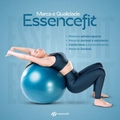 Bola Pilates Suiça Yoga 65cm Ginástica Abdominal e Muscular Essencefit
