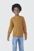 Blusão Manga Longa Tricot Caramelo Hering - Masculino