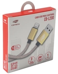 Cabo USB-C Tipo-C Para Lightning C3tech 1M Dourado - CB-CL200GD