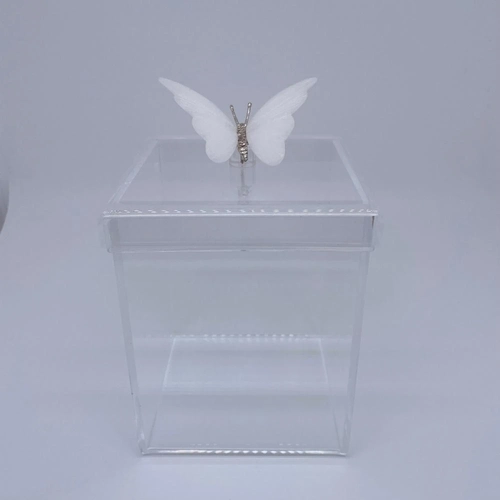 Caixa M Borboleta