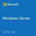 Windows Server Cal User 2022 Coem Bra 5clt Ep2-25274kiti