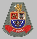 Brasão de Batalhão 1º BAEP - Polícia Militar (Bordado)