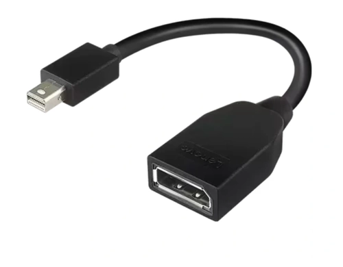 Lenovo Mini-DisplayPort para Adaptador DisplayPort - 4X90L13971