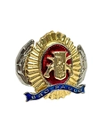 Distintivo de boina em Alto relevo PMESP- SGT/ SUB