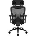 Cadeira Ergonômica Thunderx3 Xtc Mesh Preta