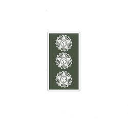 Divisa de Gola Coronel (Emborrachado)