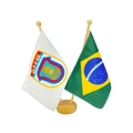 Bandeira de Mesa Dupla (Brasil/ EsPCEx)