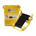 Ribbon Zebra Monocromatico Preto 1000 Imagens 800033-801