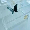 Caixa P Borboleta e logo - Logo alto relevo inicial ou desenho