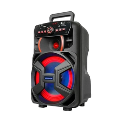 CAIXA AMPLIFICADA AMVOX ACA 221 220W
