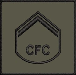 Insígnia Bordada - Baixa Visibilidade (Cursos de Formação)