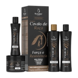 Kit Capilar Cavalo de Raça