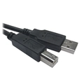 Cabo Nwt Usb a Macho Para Usb b Macho 2.0 - 3 Metros