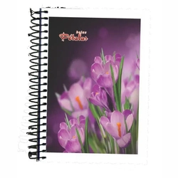 CADERNETA ESPIRAL CAPA FLEXIVEL 96FLS PANAMERICANA