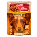 SACHE SP DOG CARNE AD CX C/ 12 UNI