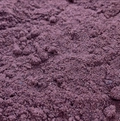 GRAPE FLOUR Vitis vinífera L
